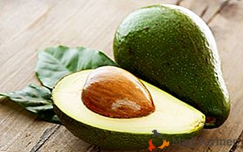 Fructe Avocado: Pot să cresc acasă? Care sunt proprietățile sale utile și există vreun prejudiciu?