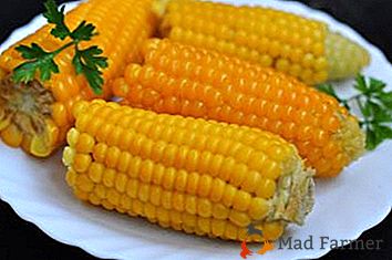 Preparamos a Bonduelle en casa: ¿cómo y cuánto tiempo cocinar el maíz en la mazorca?