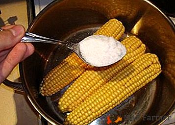 Jak i ile gotować kukurydzę w szybkowarze: przydatne porady