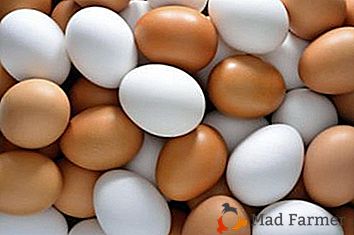 Kako pravilno hraniti kokošja jajca: pravila, metode, pogoji in pogoji
