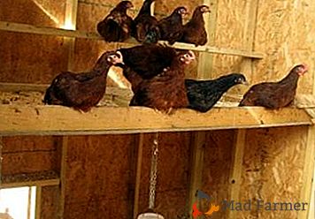 Как да направите гарнитура за пилета със собствените си ръце: видове и производствени техники