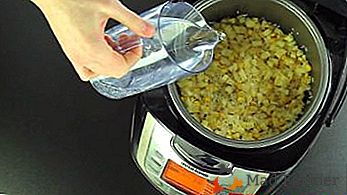 Cómo cocinar el maíz en Redmond multivark? Recetas útiles