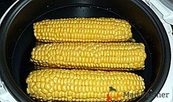 Ako chutné a správne variť kukuricu v multivariačnom panasonic?