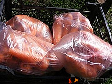Quali condizioni devono essere osservate per la conservazione di carote e barbabietole per l'inverno nel seminterrato con l'aiuto di pacchetti?