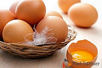 Jaki jest termin ważności surowych jaj kurzych w domu w SanPiN?