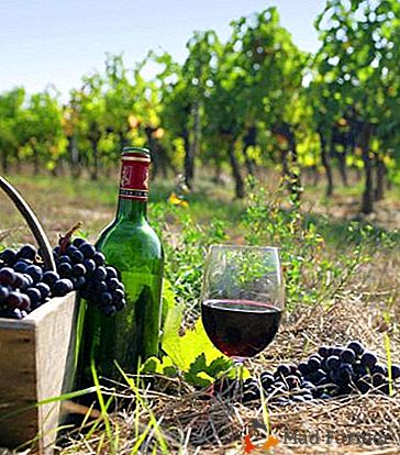 Klasika vinařství - odrůda hroznů Cabernet