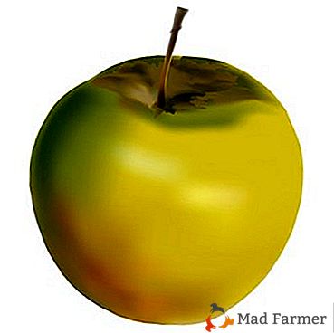 Fructe frumoase cu o valoare biologică ridicată ne dau măr de pomi de soi