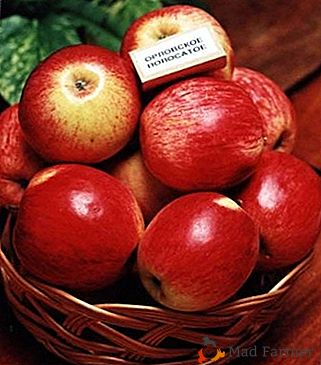 Десерт във вашата градина е ябълки от "Ориол лъскави"