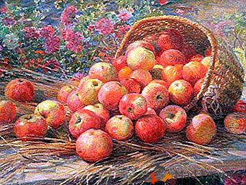 Variedad veraniega de manzanas con excelente inmunidad - apple Savior