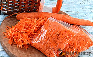 É possível congelar cenouras para o inverno em ralado, fervido ou inteiro? Descreva os métodos de conservação