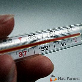 Jak szkodliwe jest ciepło dla drobiu i jak zapobiegać hipertermii?
