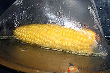 Neviete, ako rýchlo variť kukuricu v mikrovlnnej rúre v balení? Ukážeme vám to!