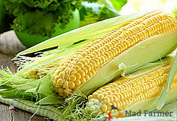 Cu privire la beneficiile și metodele de gătit galben iarba. Ce salate delicioase pot fi făcute cu porumb, inclusiv conserve?