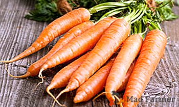 Sobre como guardar cenouras em potes e caixas para o inverno. Conselhos de jardineiros experientes