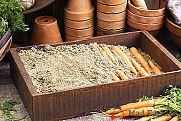 Vlastnosti skladovania mrkvy v piesku a čo je najlepšia voľba pre toto: suché alebo mokré