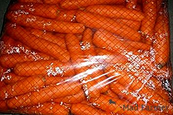 Vynikajúce spôsoby skladovania mrkvy na zimu. Poradenstvo skúsených výrobcov nákladných vozidiel