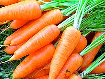 Varietà e durata di conservazione adeguate delle carote