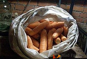 Detalhes sobre como armazenar cenouras em uma adega no inverno em sacos de açúcar