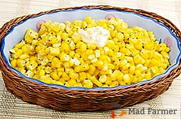 Užitečné a chutné recepty z kukuřice v konzervách: co můžete vařit ze slunečné zeleniny?