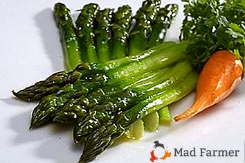 Proprietăți utile ale Asparagusului și posibilele efecte negative asupra sănătății