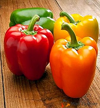 Variedade de pimenta popular "Bogatyr": descrição detalhada, regras de cultivo e fotos
