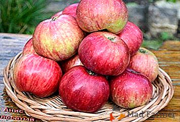 Vedere atractivă, gust excelent și nemulțumire - pomi fructiferi de măr