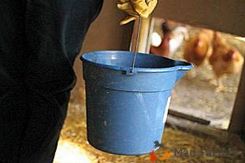 Izvođenje dezinfekcije kokošje kuće u kućnim uvjetima