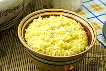 Různé recepty na kukuřičnou kaši: jak to vařit, aby se nádobí velmi chutné?