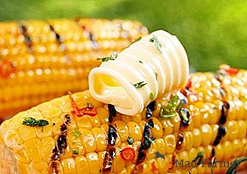 Recepty na varenie chutných jedál z kukurice v multivarkách. Postupujte krok za krokom s fotografiou