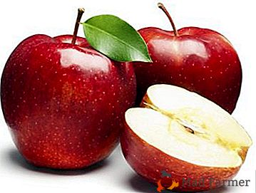 Prikupljanje i skladištenje jesenskih sorti jabuka: kada će se sakupljati i što plodovi ostaviti za zimu?