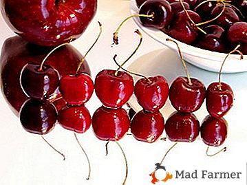 Odrůda s vysokým výnosem a ranní splatností - Cherry Malinovka