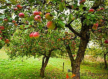 Савет искусних пољопривредних произвођача о контроли зелених апплеа јабуке и других врста