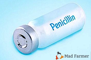 Metode za razmnoževanje penicilina za piščance in piščance