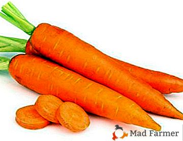 Топлата изба не е проблем: как да запазим морковите дълго време?