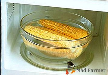 Vrhunski recepti za kuhanje kukuruza u mikrovalnoj pećnici kod kuće