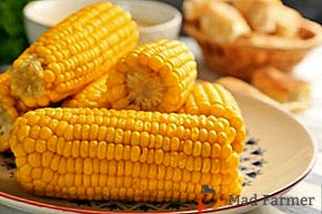 Успешни рецепти: колико довољно брзо кувати кукуруз?