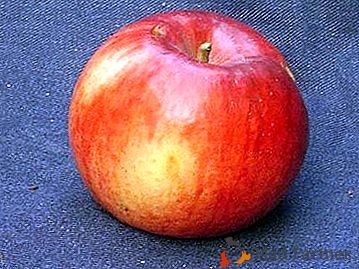 Czy potrzebujesz jabłek, które są idealne do robienia soku? Zasadź wiele "Pamięci o Uljaniszew"