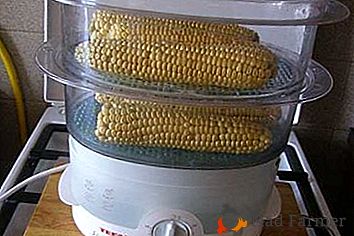 Lahodné rychlé recepty kukuřice v dvojitém bojleru. Fotografické nádobí a čas vaření