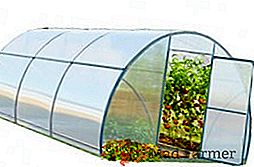 Propósito y características del uso de un invernadero con techo abierto