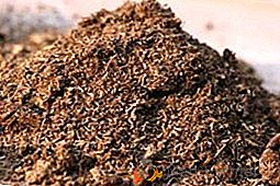 Características de la aplicación de turba como fertilizante