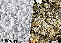Características de perlita e vermiculita: semelhanças e diferenças