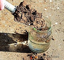 Cómo determinar la acidez del suelo en el sitio