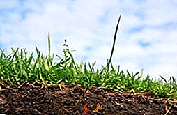 Методи и методи на основна обработка на почвата