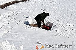 Snowplower com próprias mãos: materiais, construção, fabricação
