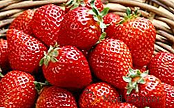 Comment préparer les fraises pour l'hiver: des recettes pour la conservation des baies