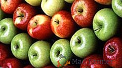 Tipi di meli. Foto di diverse varietà.