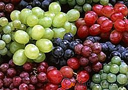 Tipos de uvas alfabéticamente + FOTOS
