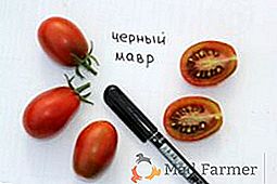 Delicioso exótico - descripción y descripción de la variedad de tomate "Black Moor"