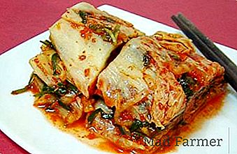 Preproste in okusne recepte kimchija v korejščini iz pekinškega zelja