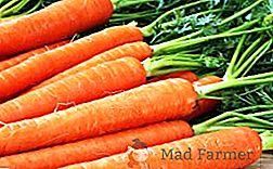Receitas de usar cenouras na medicina popular
